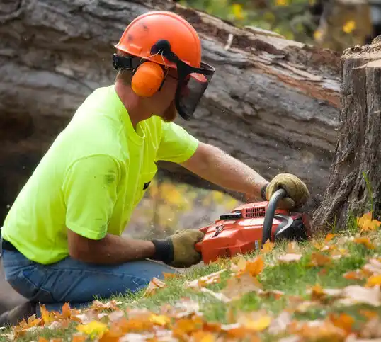 tree services Trumansburg